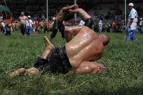 Oil Wrestling Tournament - Turkey