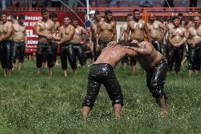 Oil Wrestling Tournament - Turkey