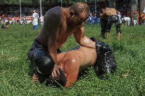 Oil Wrestling Tournament - Turkey