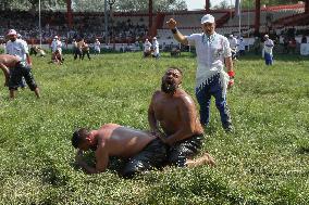 Oil Wrestling Tournament - Turkey