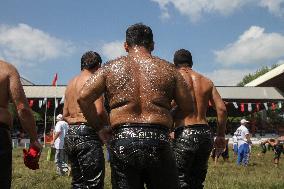 Oil Wrestling Tournament - Turkey