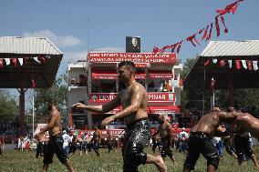 Oil Wrestling Tournament - Turkey