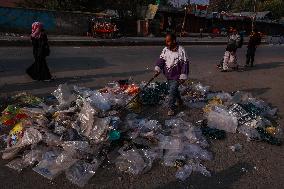 Pollution Causing Plastic Bags