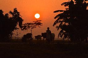 Daily Life In India