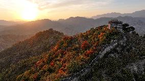 Autumn Scenery in China