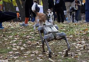 Robot dog at charity run in Ukrainian capital