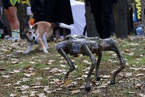 Robot dog at charity run in Ukrainian capital