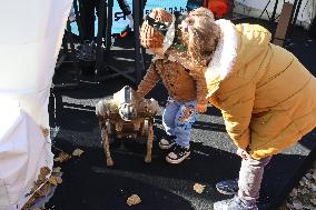 Robot dog at charity run in Ukrainian capital