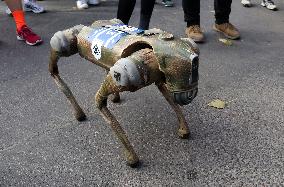 Robot dog at charity run in Ukrainian capital