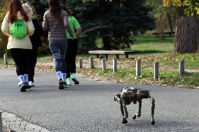 Robot dog at charity run in Ukrainian capital