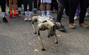 Robot dog at charity run in Ukrainian capital