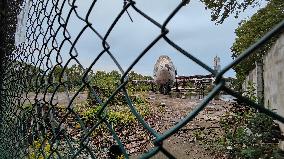 An Abandoned Boeing 747 Aircraf