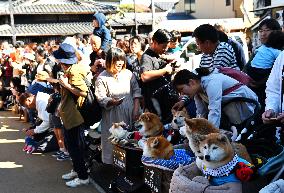 Ueno Tenjin Festival