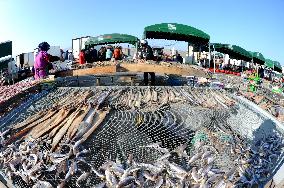 Seafood Industry