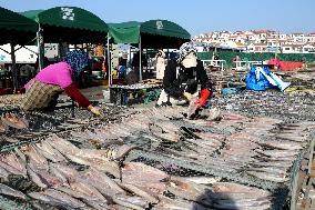 Seafood Industry