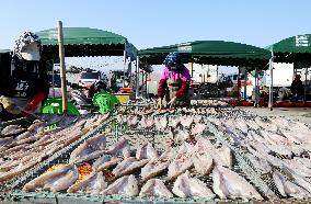 Seafood Industry