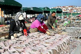 Seafood Industry