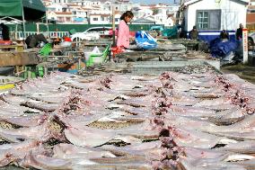 Seafood Industry