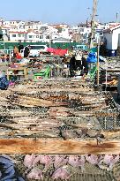 Seafood Industry