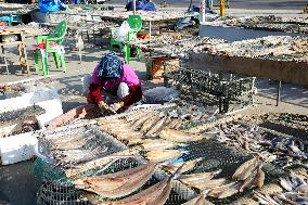 Seafood Industry