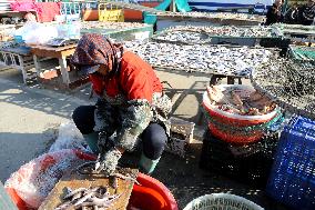 Seafood Industry