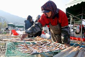 Seafood Industry