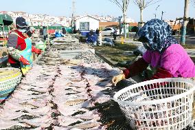 Seafood Industry