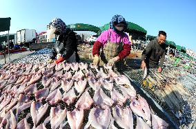 Seafood Industry