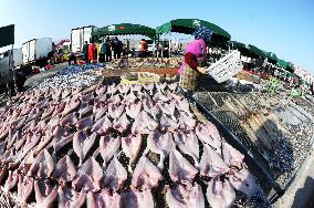 Seafood Industry