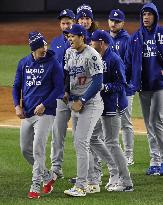 Baseball: MLB World Series