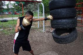 Training Of A Young Boxer