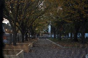 Up Date View Of The White House  Were They Have Started Building The  Viewing Stand For The 2025 Inauguration