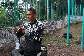 Training Of A Young Boxer