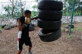 Training Of A Young Boxer