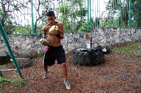 Training Of A Young Boxer