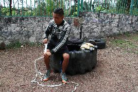 Training Of A Young Boxer