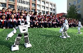 AI Education in Chinese Primary Schools