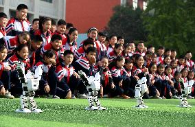 AI Education in Chinese Primary Schools