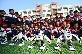 AI Education in Chinese Primary Schools