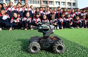 AI Education in Chinese Primary Schools