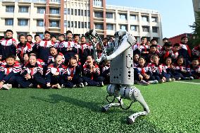 AI Education in Chinese Primary Schools