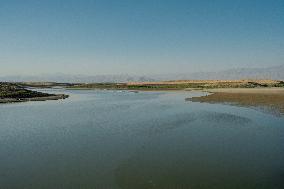 Environmental Crisis - Iraq