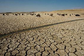 Environmental Crisis - Iraq