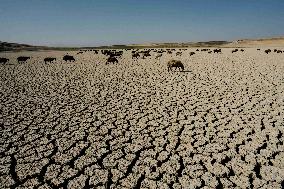 Environmental Crisis - Iraq