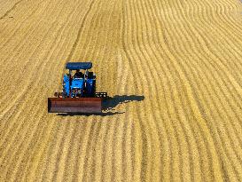 Rice Harvest in Huai'an