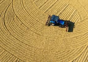 Rice Harvest in Huai'an