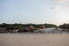 Daily Life On Marajó Island At The Mouth Of The Amazon River