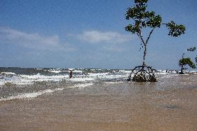 Daily Life On Marajó Island At The Mouth Of The Amazon River