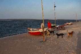 Daily Life On Marajó Island At The Mouth Of The Amazon River