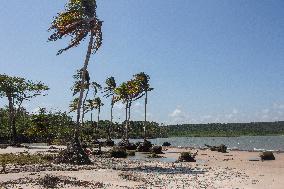 Daily Life On Marajó Island At The Mouth Of The Amazon River